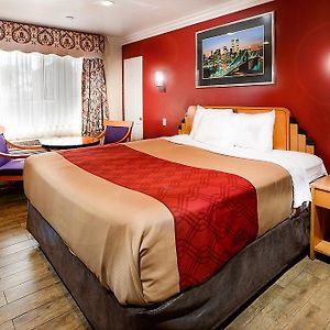 Zimmer mit Kingsize-Bett